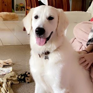 Meet your Posher, Olivia